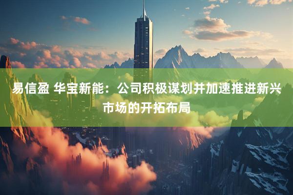 易信盈 华宝新能：公司积极谋划并加速推进新兴市场的开拓布局