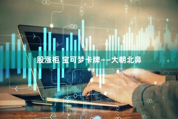 股涨柜 宝可梦卡牌——大朝北鼻