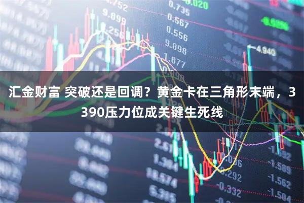 汇金财富 突破还是回调？黄金卡在三角形末端，3390压力位成关键生死线