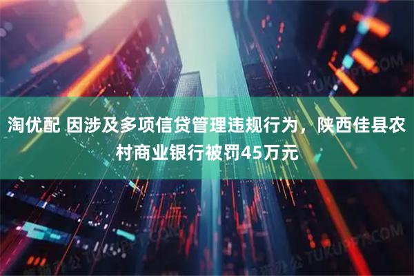 淘优配 因涉及多项信贷管理违规行为，陕西佳县农村商业银行被罚45万元