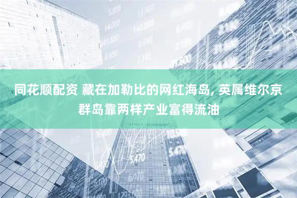 同花顺配资 藏在加勒比的网红海岛, 英属维尔京群岛靠两样产业富得流油