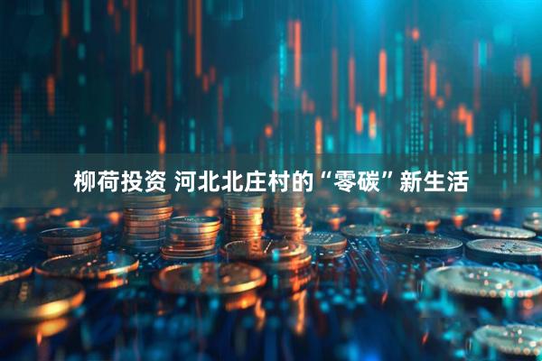 柳荷投资 河北北庄村的“零碳”新生活