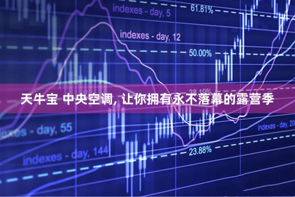 天牛宝 中央空调, 让你拥有永不落幕的露营季
