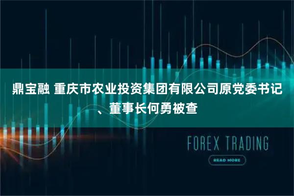 鼎宝融 重庆市农业投资集团有限公司原党委书记、董事长何勇被查