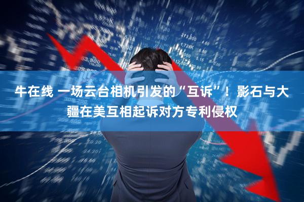 牛在线 一场云台相机引发的“互诉”！影石与大疆在美互相起诉对方专利侵权