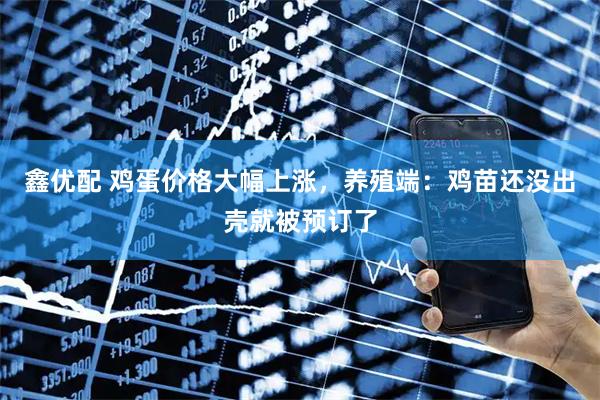 鑫优配 鸡蛋价格大幅上涨，养殖端：鸡苗还没出壳就被预订了